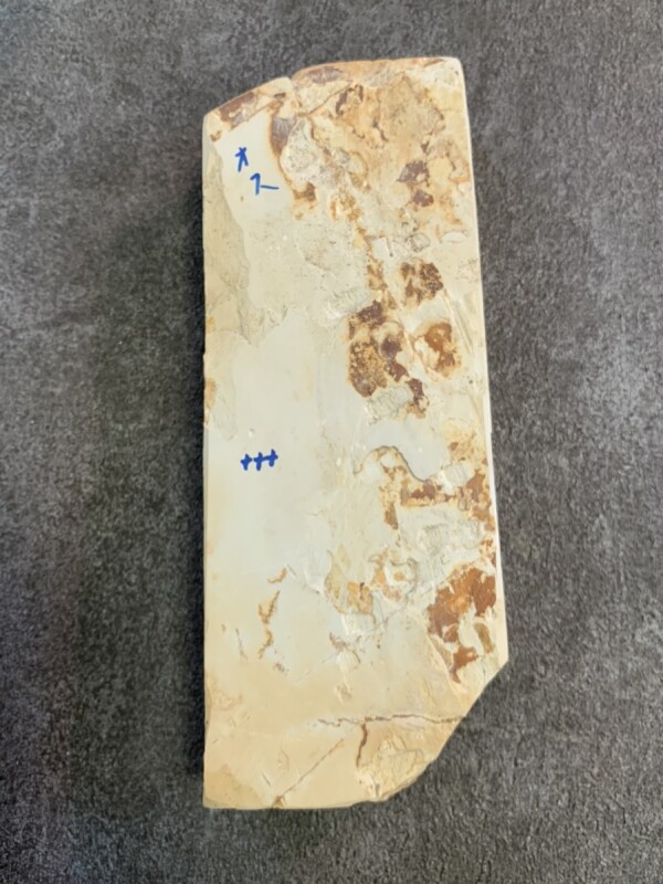 天然砥石 天然仕上げ砥石 奥殿 巣板 205×77×35mm厚