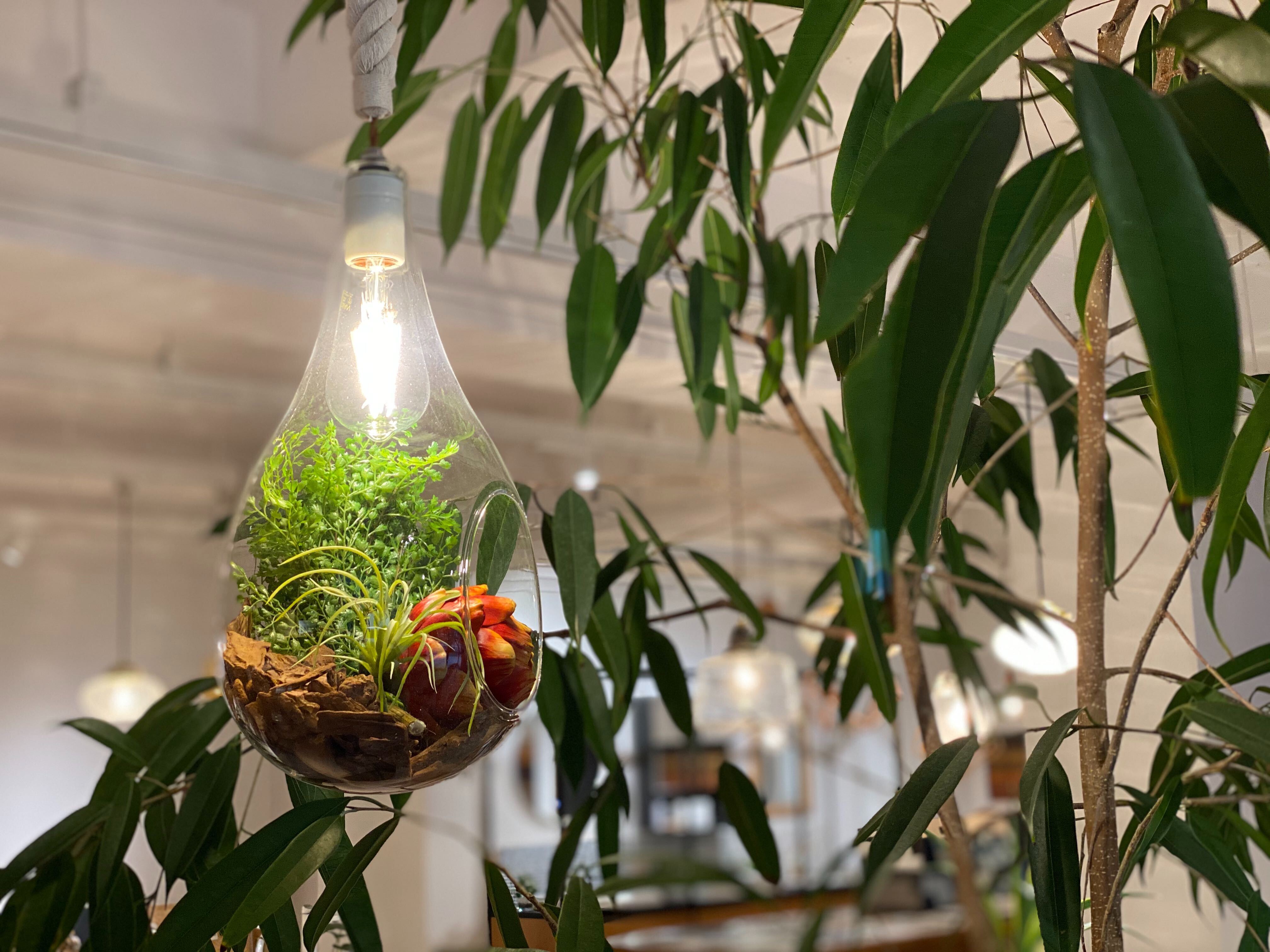 ペンダントライト ボタニカル L-FGB｜ライト・照明｜ペンダントライト