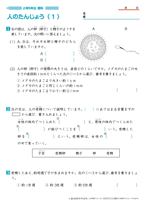 小学5年生 理科 学習問題プリント｜ちびむすドリル【小学生】