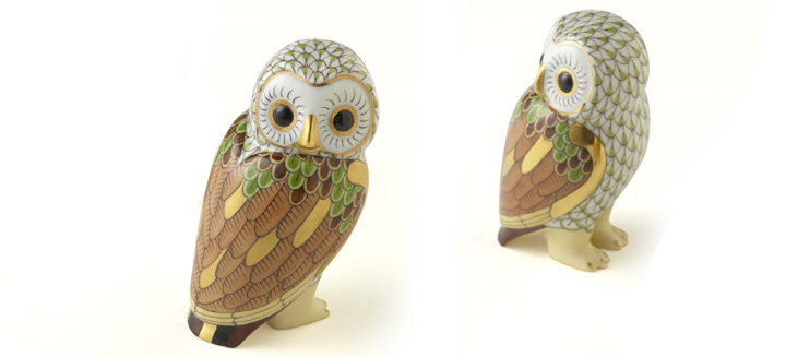 世界のふくろう] ウッドランドのふくろう