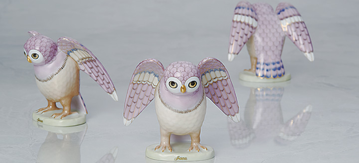 世界のふくろう] ハカのふくろう