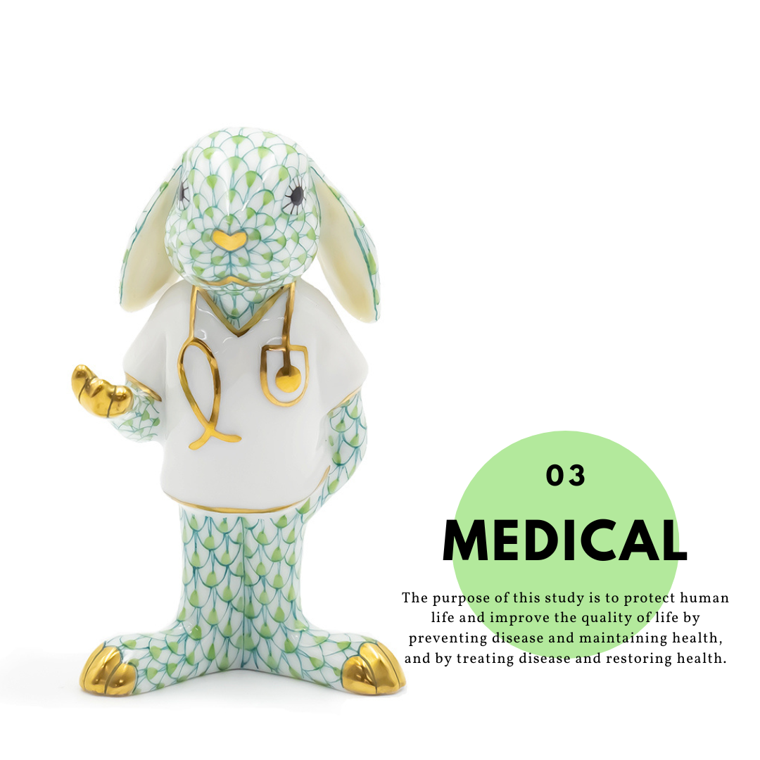 Working Bunny コレクション