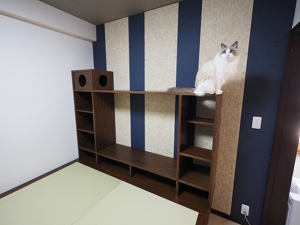 畳の小上がり、畳ベッドをご購入いただいたお客様の声、感想 4 | 飛騨