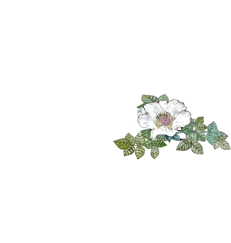 台湾展示「奇幻動物森林 樋口裕子展」｜ヒグチユウコ Higuchi Yuko