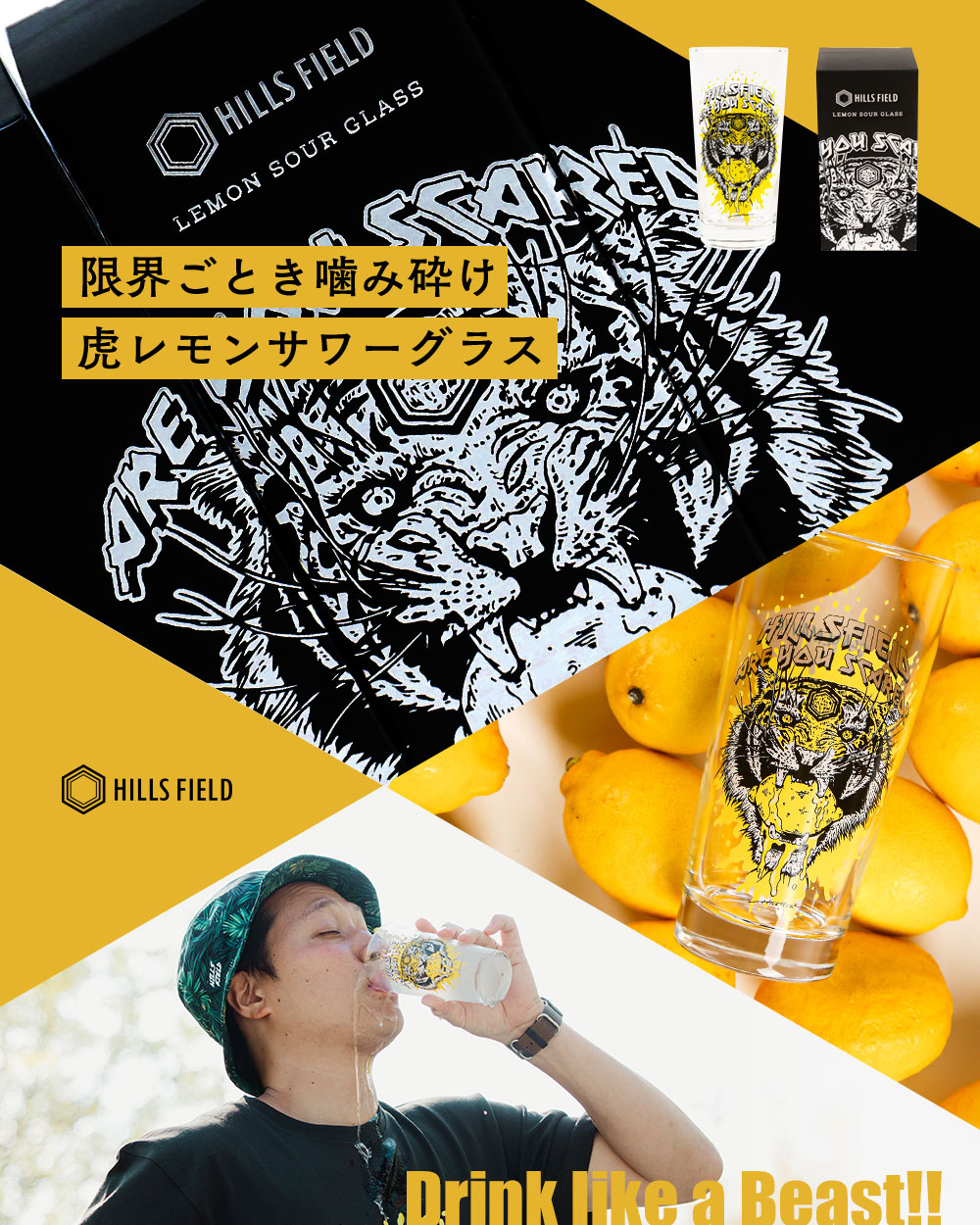 オリジナルレモンサワーグラス”虎レモンサワーグラス” 435ml | HILLS