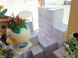 はなかっぱ＆ももかっぱ鉢！ | 花屋ブログ | 愛知県愛西市の花屋 花の