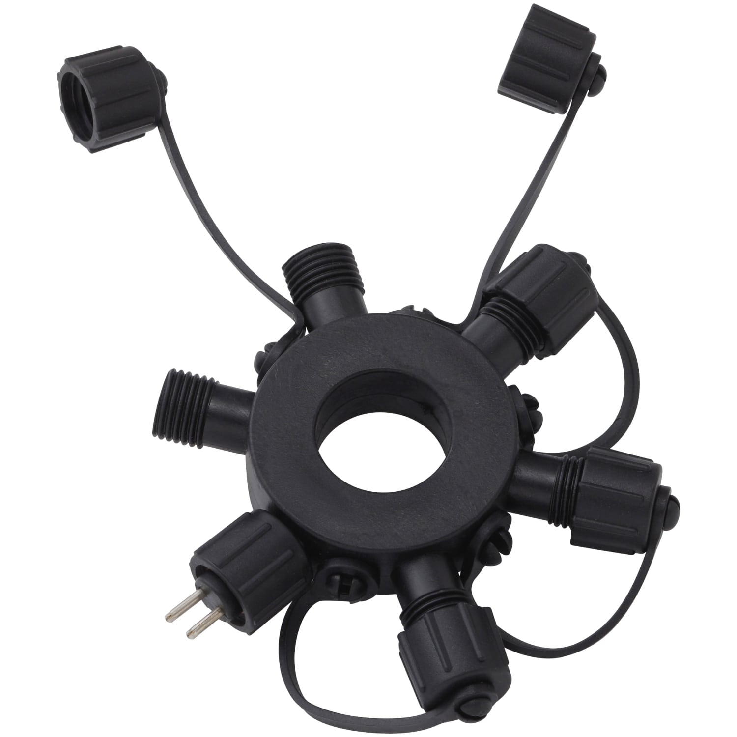 ラリック社 プティ•ポワソン aラリック社 プティポワソン 二点組