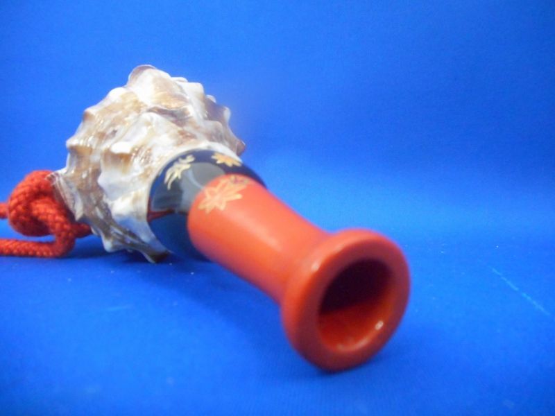 法螺貝（ほら貝）販売のお店