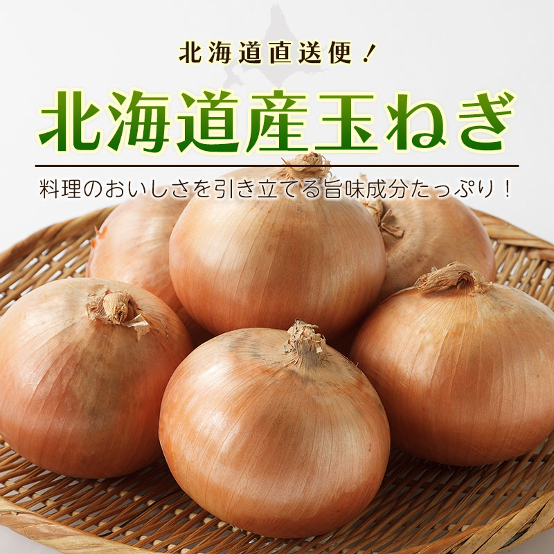 北海道 玉ねぎ 4kg 8kg L大〜2Lサイズ