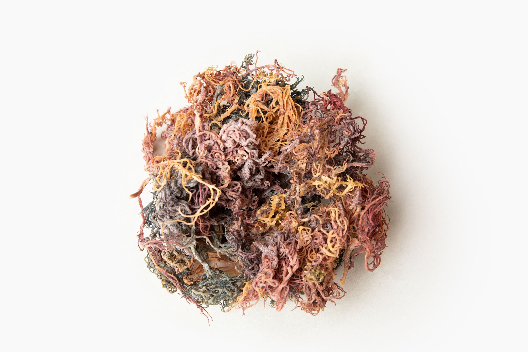 Raw Full Spectrum Sea Moss- Wildcrafted from St. Lucia – Holistic