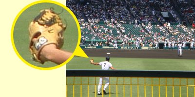 オーダーグローブ｜ホッタスポーツ：野球用オーダーグローブ