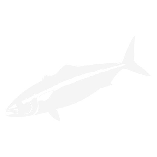 ジギングロッド 2nd Generation Tide Lez.｜HOT'S