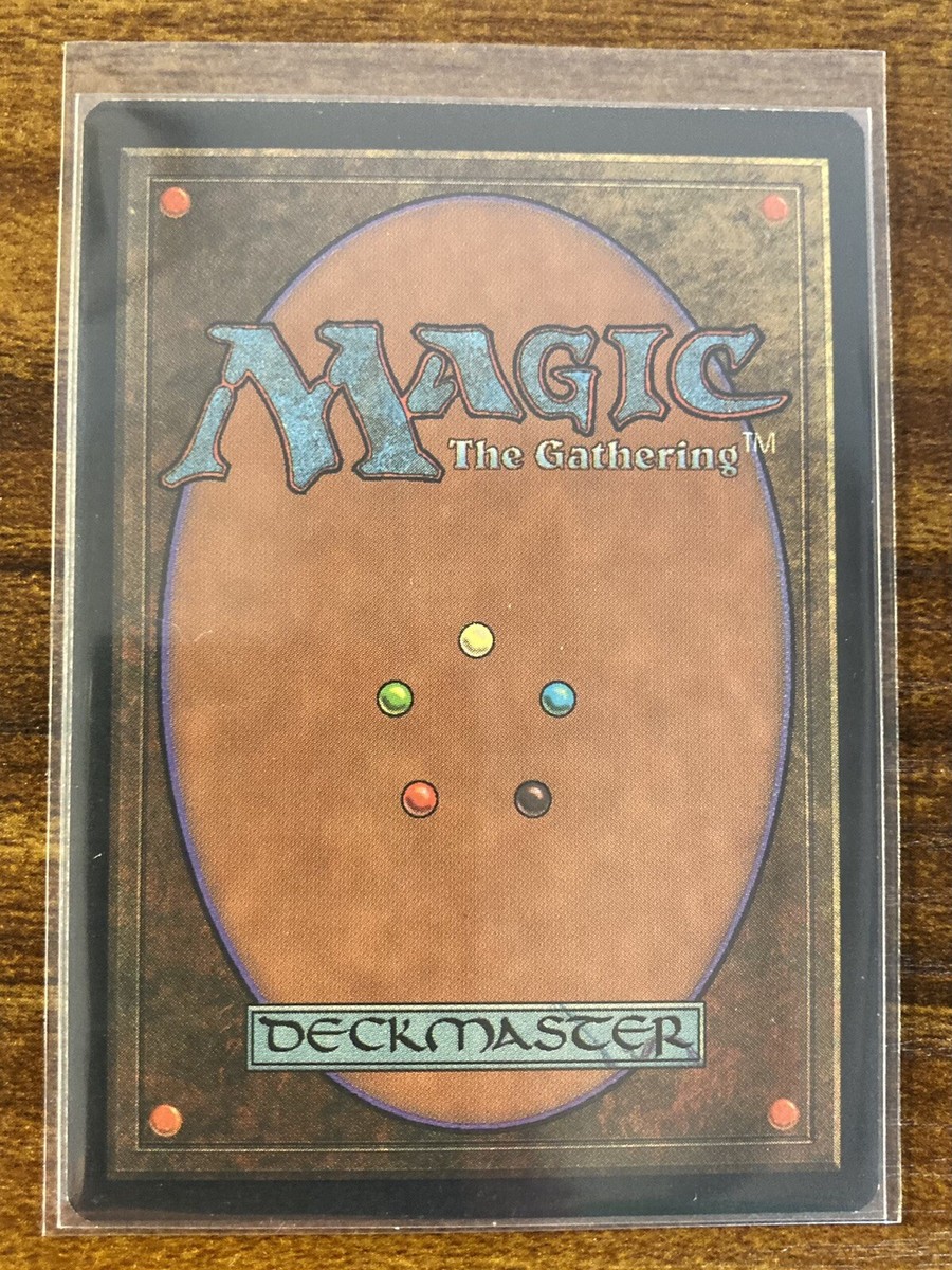 MTG✨APAC Land Promo FOREST Korea 🇰🇷 CLEAR✨MINT Rare 1997 E