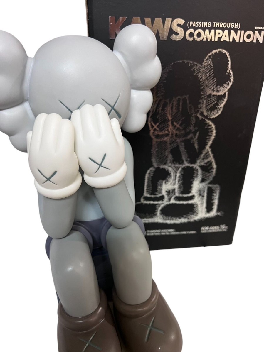 8 inch With Cardboard Box Gray Passing Through Kaws Figure-US