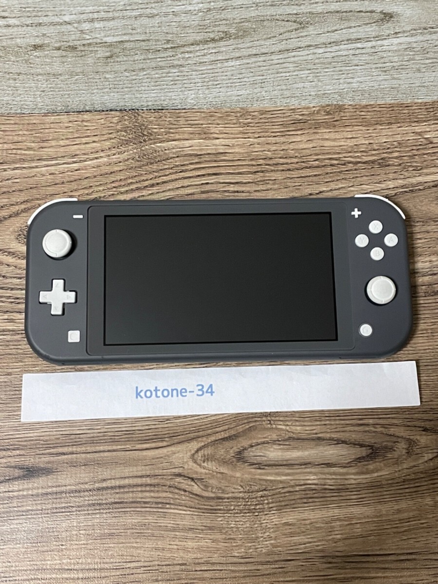 Nintendo Switch Lite Gray Console Near mint from Japan W/ BOX