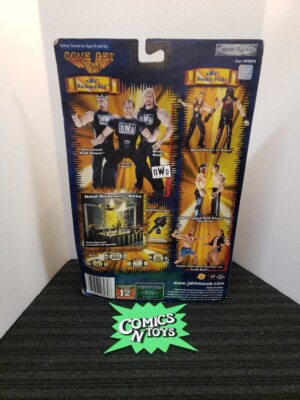 2002 WWF WWE Jakks Triple H HHH Wrestlemania 18 Wrestling figure