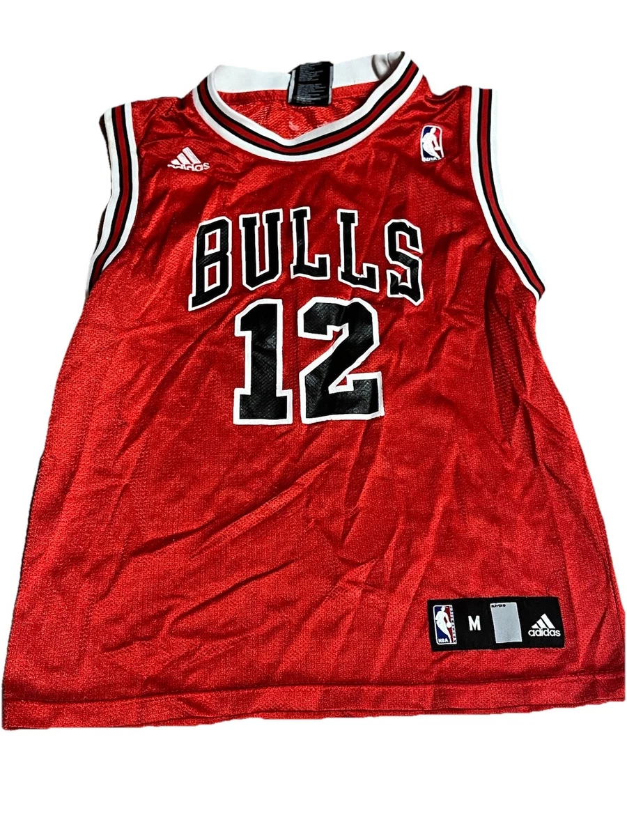 Kirk Hinrich Jersey In Nba Fan Apparel & Souvenirs for sale | eBay