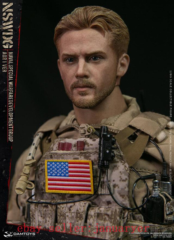 Damtoys 1/6 78065 Navy Seal/ Naval Special Warfare Group Aor1 Ver