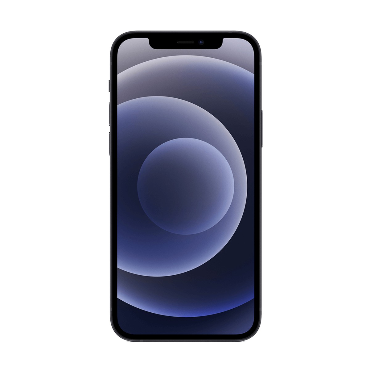 Apple iPhone 12 mini 128GB ブラック 本体 ジャンク品 iPhone 12mini