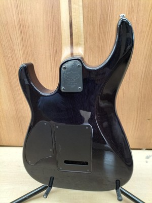 WASHBURN MG120 Electric Guitar | eBay