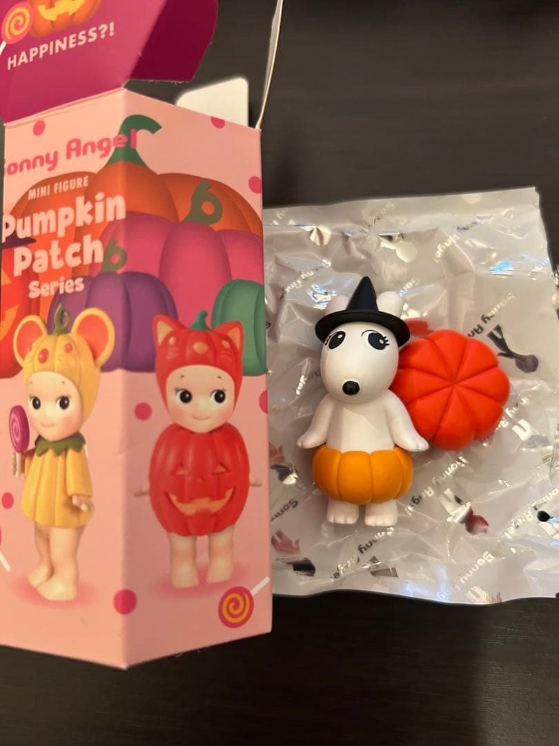 Sonny Angel Pumpkin Patch Series Halloween Witch Robby Secret
