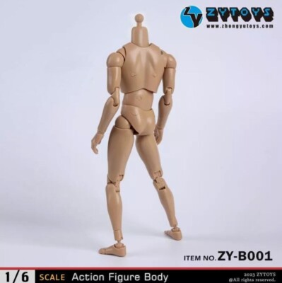 ZY Toys Narrow Shouldered Male Body 12 in Action Figure - B001 for