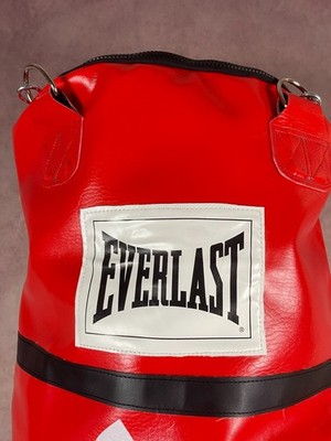 Supreme x Everlast Boxing Bag Red Punching Bag SS16 Mike Tayson