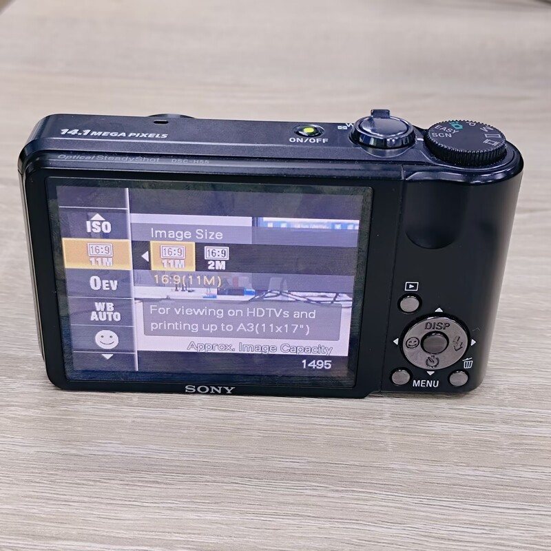 Sony CyberShot DSC-H55 14.1MP Digital Camera 10x Zoom (SD Card