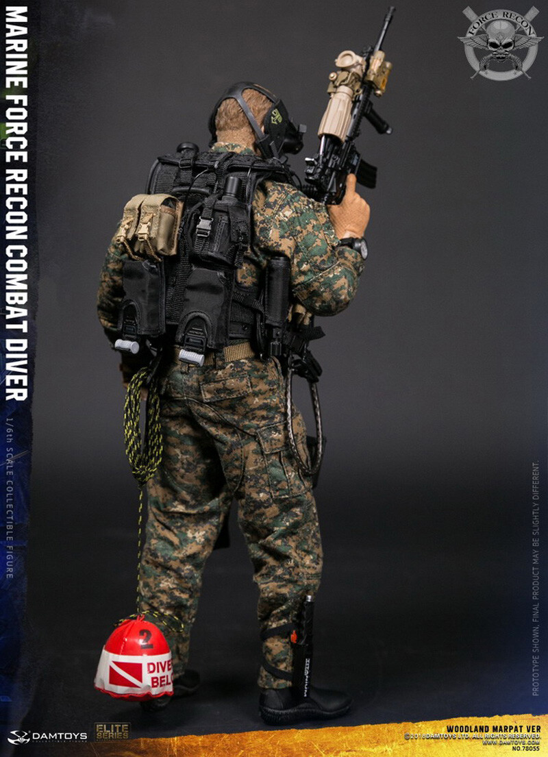 DAMTOYS 1/6 78055 USMC Marine Corps Combat Diver Woodland Camo