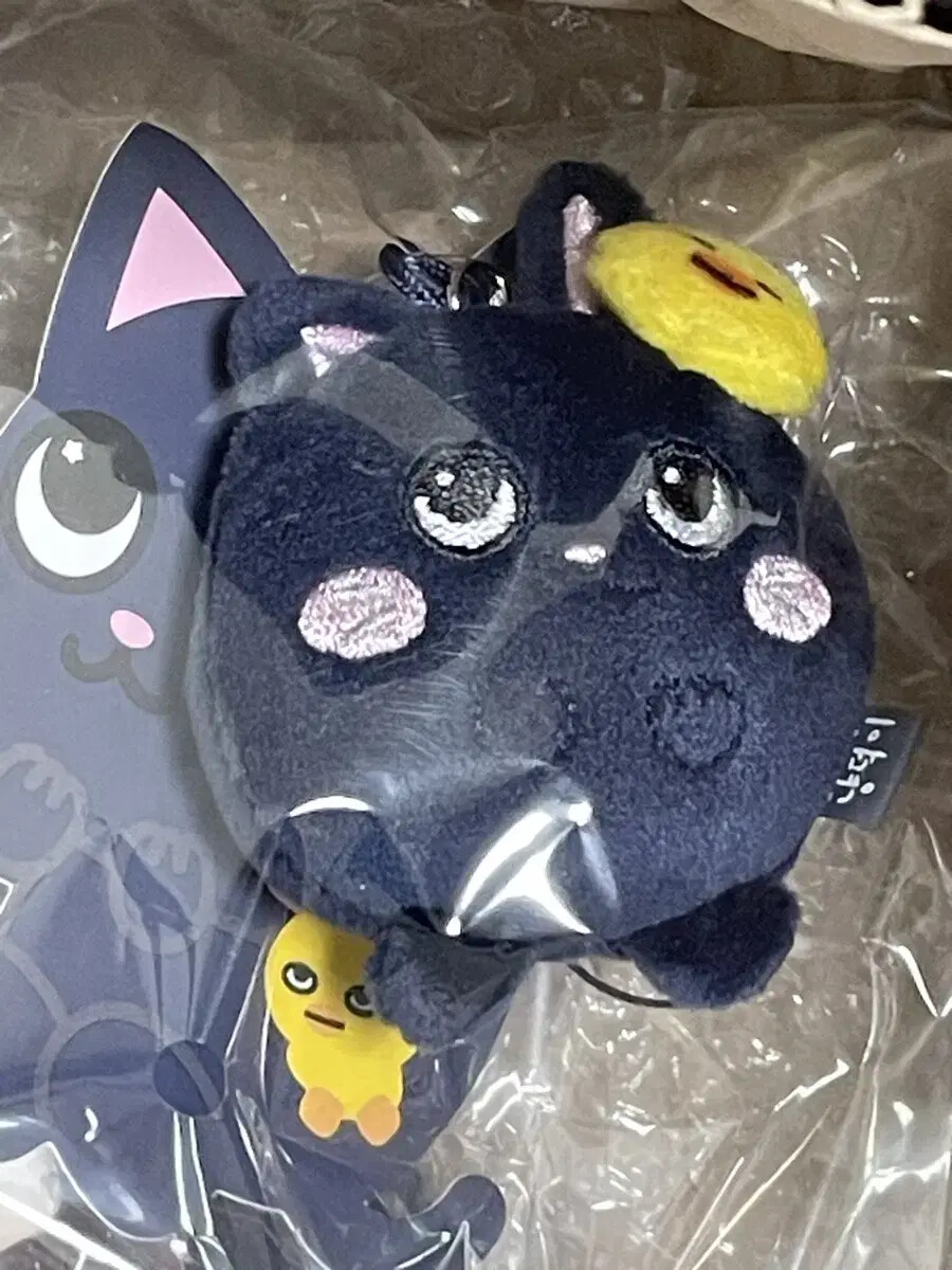 riize Wonbin Tonyangdeok Mini Dolly Ring sealed | eBay