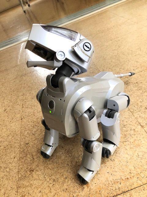 Sony Aibo ERS-111 Dog-Shaped Virtual Pet Robot JAPAN JP | eBay