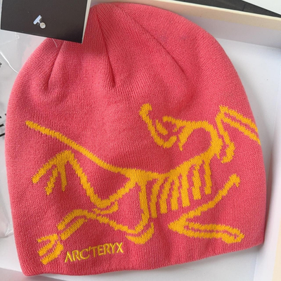 Arc'teryx Bird Head Toque Beanie Pink– Unisex Merino Wool Knit