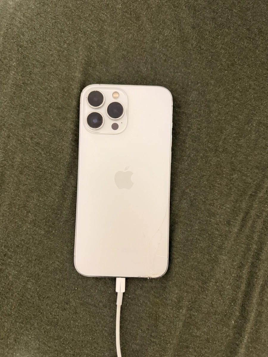 苹果iPhone 13 Pro Max 256gb | eBay