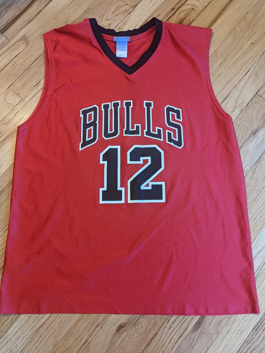 Kirk Hinrich Jersey In Nba Fan Apparel & Souvenirs for sale | eBay