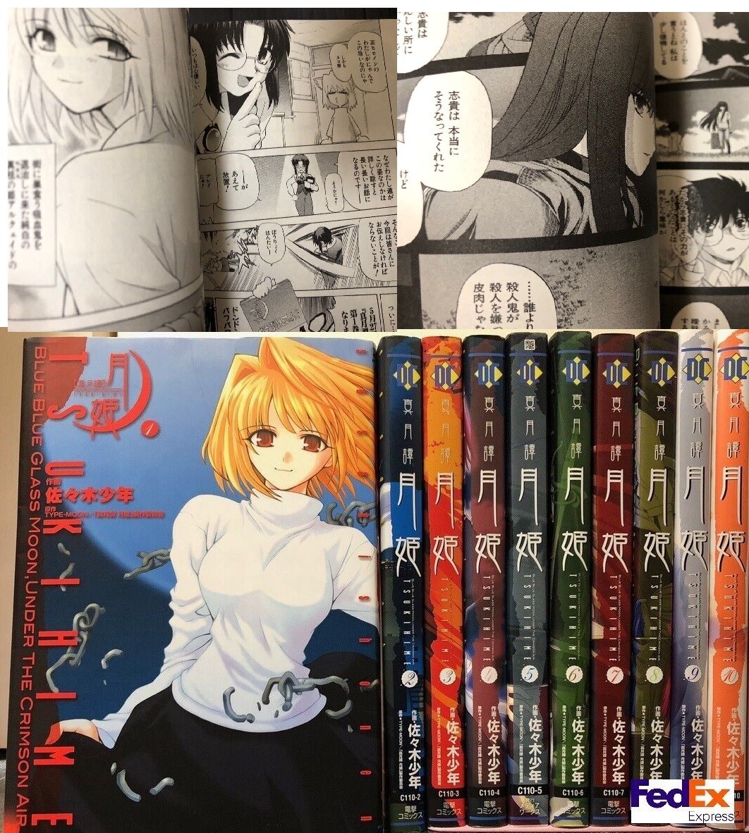 Lunar Legend Tsukihime Shingetsutan vol.1-10 set Complete Japanese