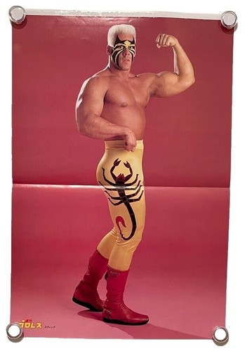 STING WRESTLER 8 X1 0 WRESTLING PHOTO WCW | eBay