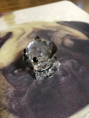 Swarovski Puppy Roxy The Pug Crystal Figurine Object very Rare F/S