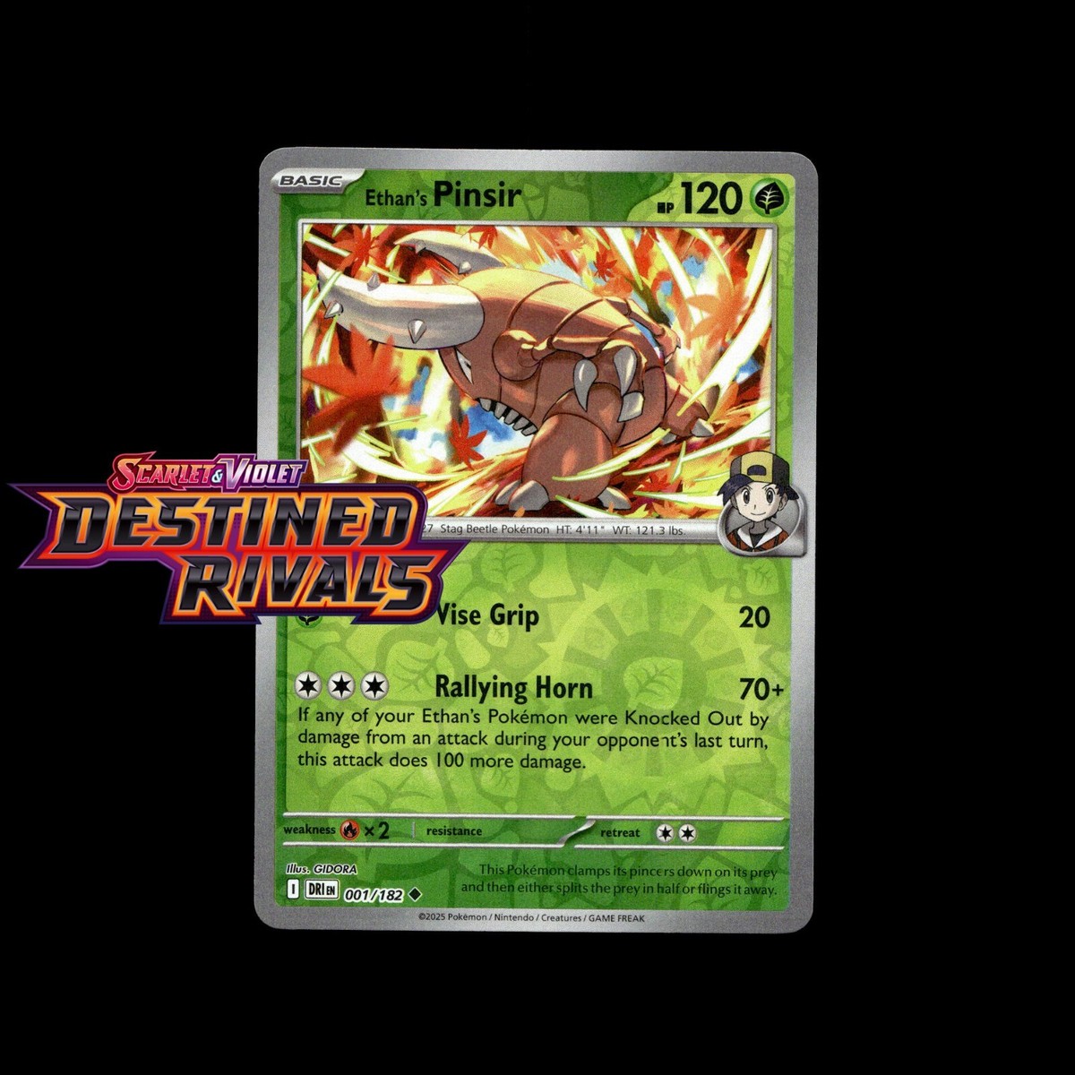 Pokemon Cards! Destined Rivals Holo/Reverse Holo EX Ultra Rare SIR