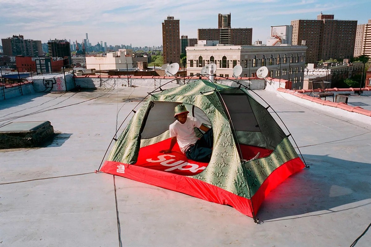 ✓ RARE Supreme The North Face Snakeskin Taped Sean StormBreak 3