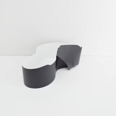 Citroen C3 MK3 SX Windschutzscheibenglas vorne links Dekor