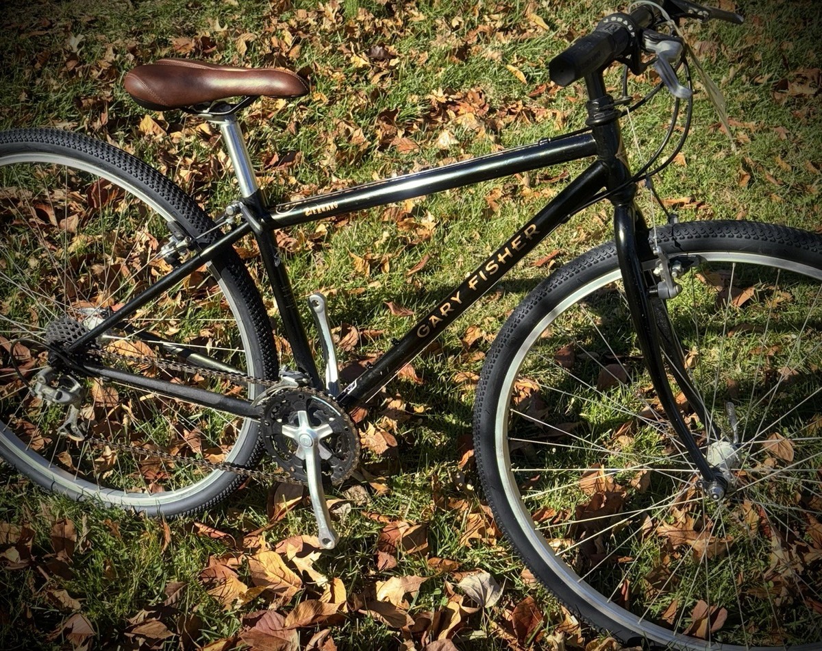 Original Gary Fisher 90's Zebrano Time Capsule Survivor Small