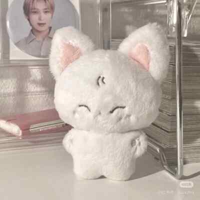 enhypen sunoo Doll Sunu Fox | eBay