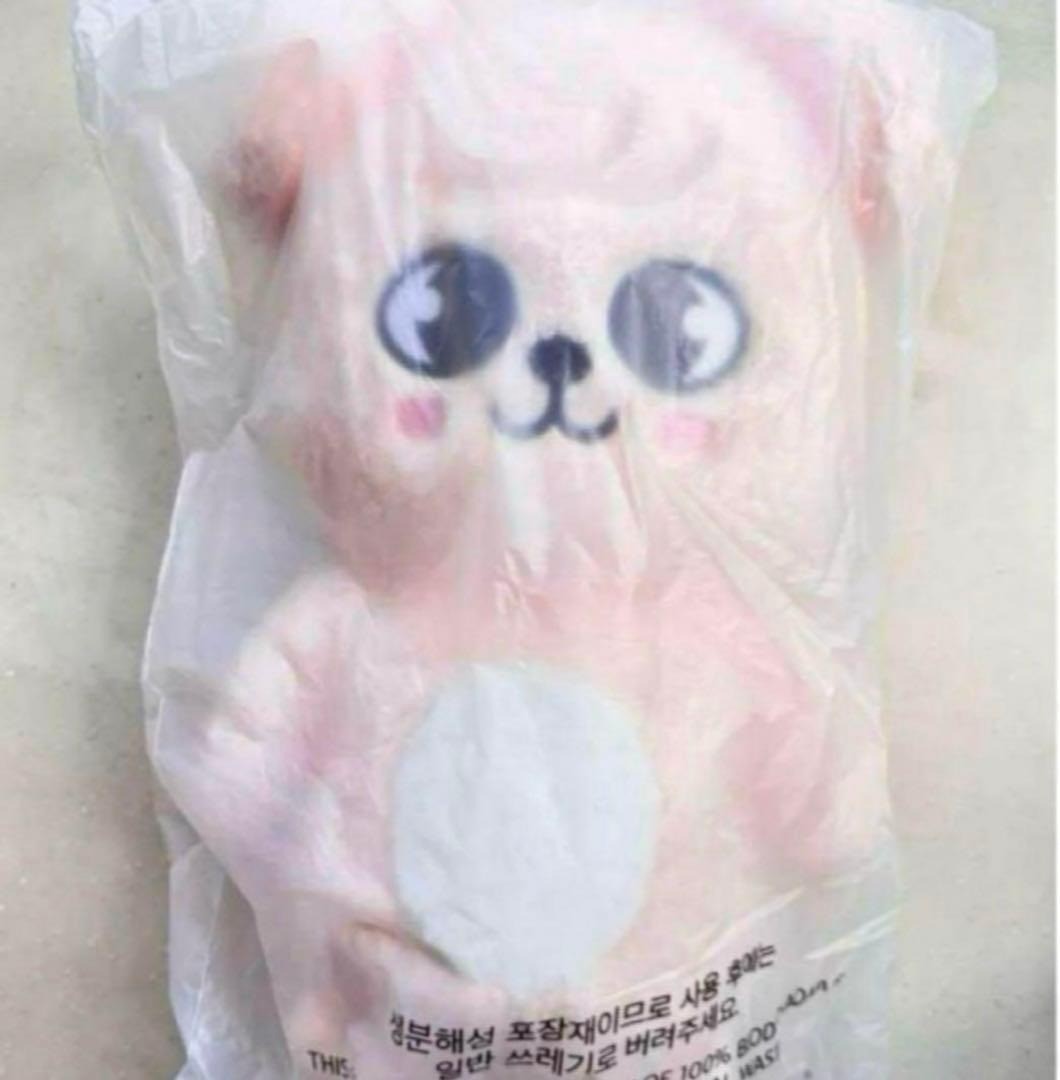 Stray Kids SKZOO PuppyM Seungmin Big Plush Teddybear Ver. Official