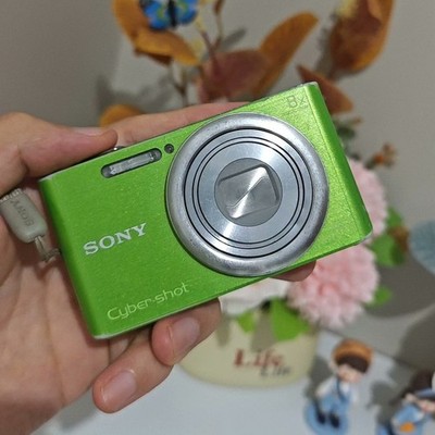 SONY Cyber-shot DSC-W730 Digital Camera 16.1 MP 8x Optical Zoom