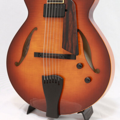 Sadowsky Archtop Series SS-15 Sienna Burst with hard case electirc