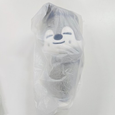 IN STOCK] Stray Kids dominATE: celebrATE Pop-Up official Merch