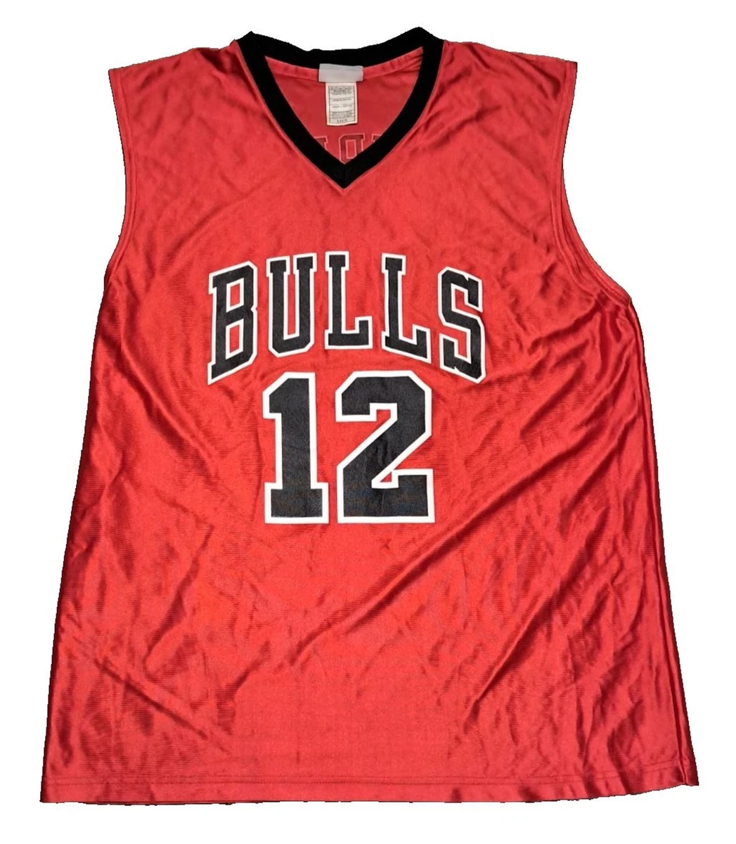 Kirk Hinrich Jersey In Nba Fan Apparel & Souvenirs for sale | eBay