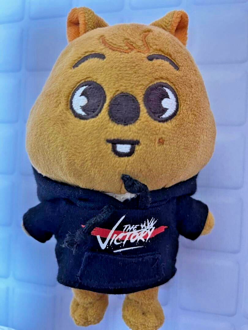 SKZOO】テディベア トェッキ straykids Straykids skzoo トェッキ