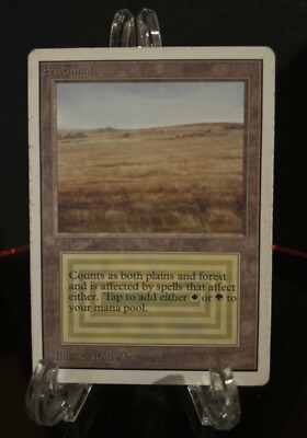 MTG Savannah 英語 デュアルランドMTG Savannah サバンナ 英語版