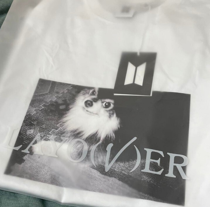 BTS Official V Taehyung Layover Yeontan Oversized T-shirt Size M